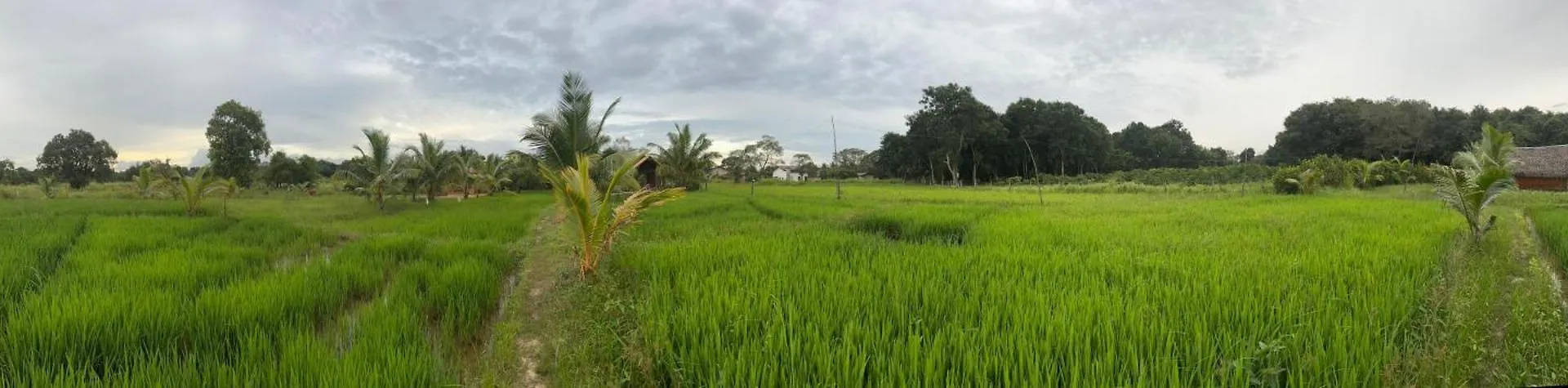 Habarana Farm Cottage