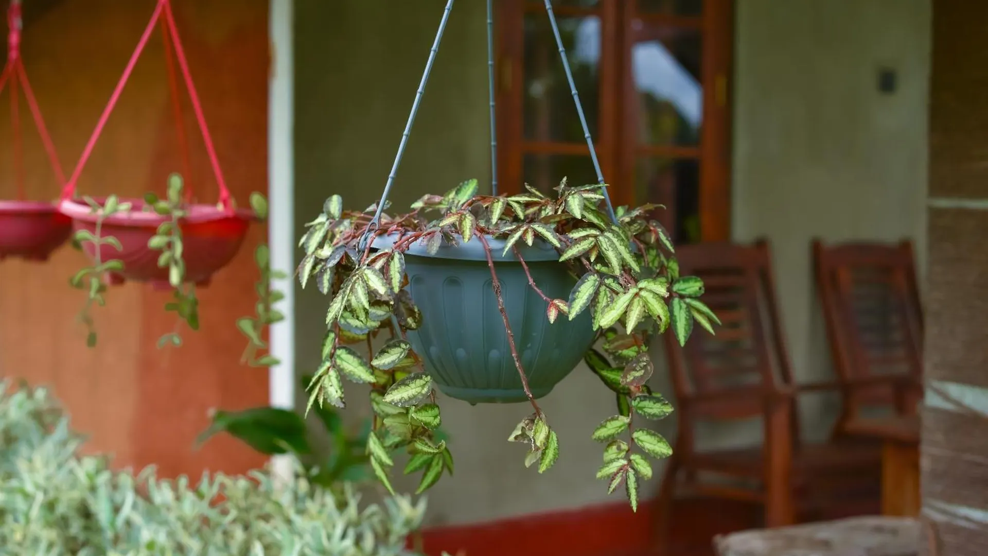 Habarana Farm Cottage Hotel