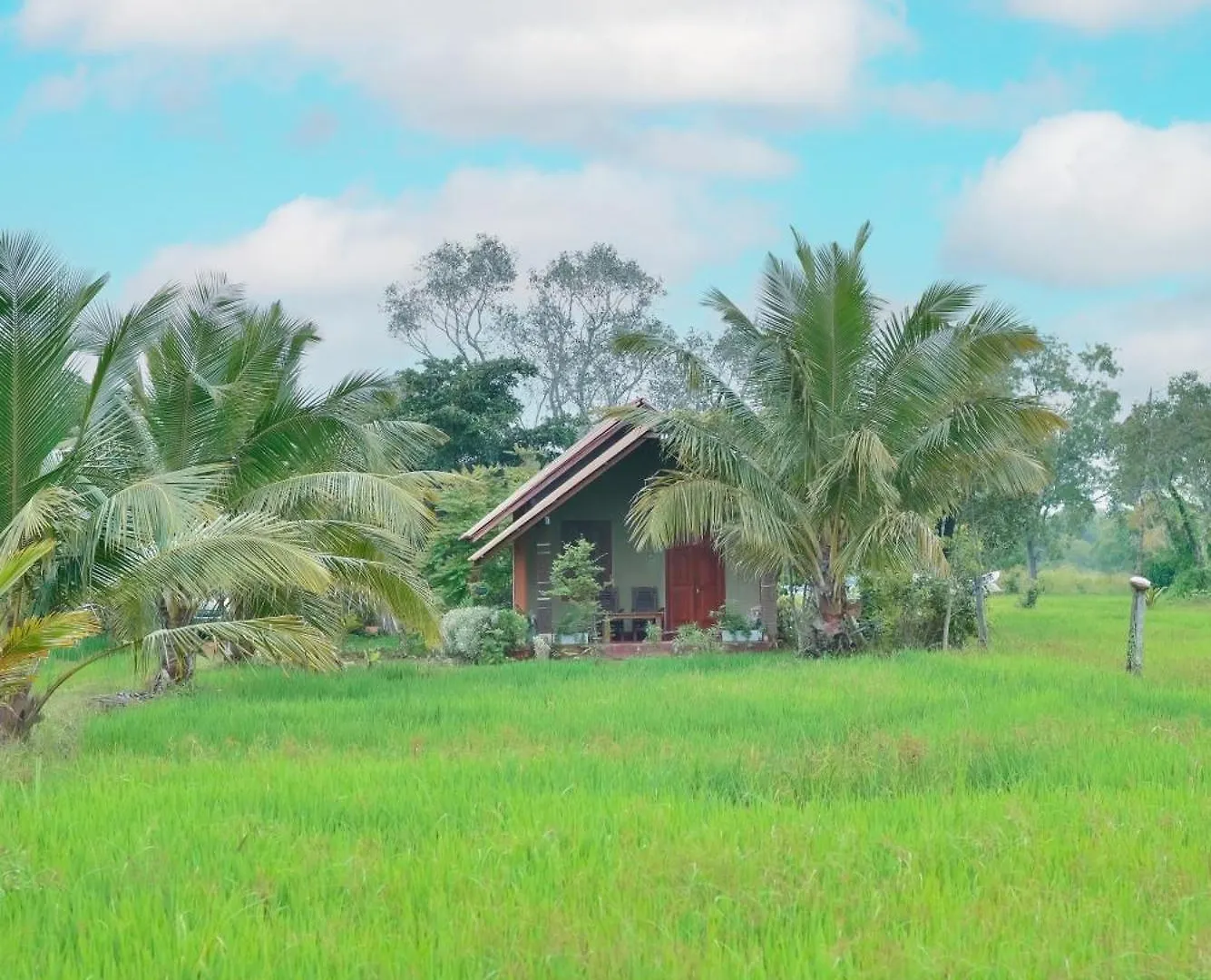 Hotel Habarana Farm Cottage Sri Lanka