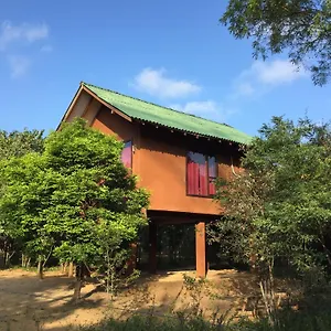 5* Hotel Sky Forest